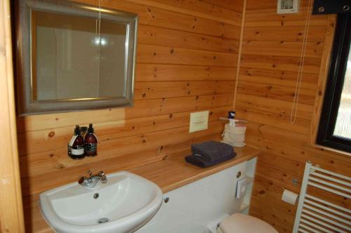 Luxury woodland Oak Lodge في كيلين: حمام مع حوض ومرآة ومرحاض