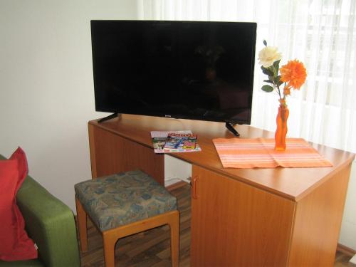 TV a/nebo společenská místnost v ubytování Komfort Appartement Bad Pyrmont Nähe Kurpark