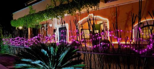 Κήπος έξω από το Casale Terra Sole B&B