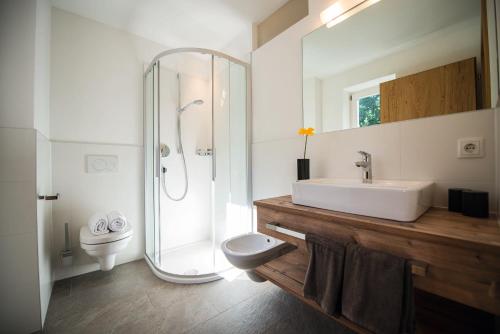 a bathroom with a sink and a toilet and a shower at Appartements Bergheim St Andrä bei Brixen in Bressanone