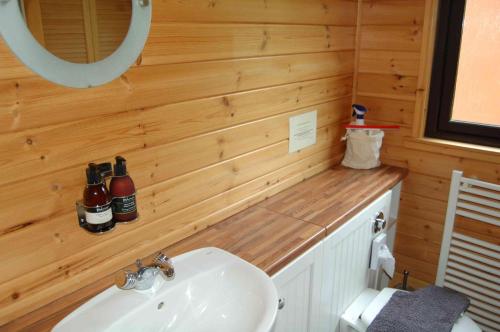 uma casa de banho com um lavatório e um espelho em Luxury woodland Alder Lodge em Killin