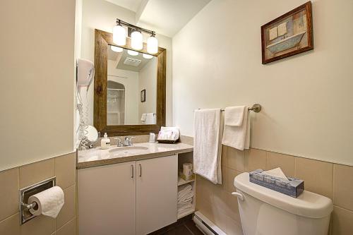 uma casa de banho com um WC, um lavatório e um espelho. em Hotel Vacances Tremblant em Mont-Tremblant