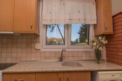 Kuchyň nebo kuchyňský kout v ubytování Kyrana Apartments