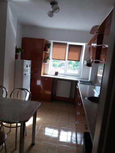 Η κουζίνα ή μικρή κουζίνα στο Mario Apartments