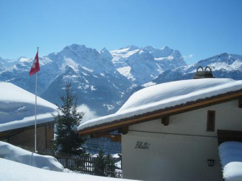 a building with a flag and mountains in the background at Chalet Blatti in Hasliberg Wasserwendi