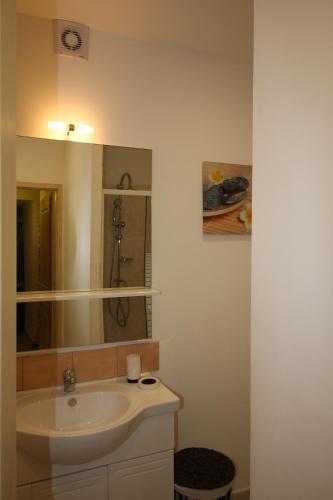 une salle de bain avec un lavabo et un miroir dans l'établissement Gîte Valescure, à Saint-Michel-de-Dèze