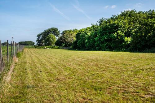 a field of grass with trees in the background at Hotel, Restaurant, Café Pharisäerhof - Nordseeurlaub mit Hund in Nordstrand