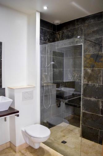 une salle de bain avec une douche avec des toilettes et un lavabo dans l'établissement Résidence Barla, à Nice