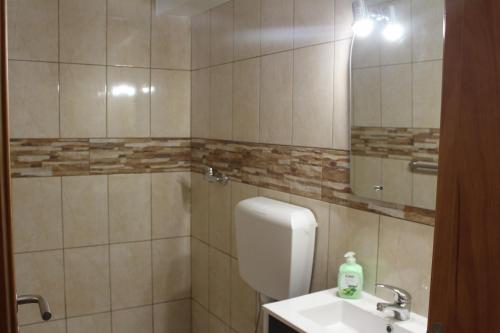 a bathroom with a toilet and a sink and a mirror at Casa Marreiros Holiday Home in Vila do Bispo