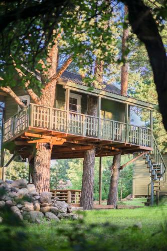 a house in a tree with a deck on it at Sodyba Namelis medyje Anykščiuose in Anykščiai