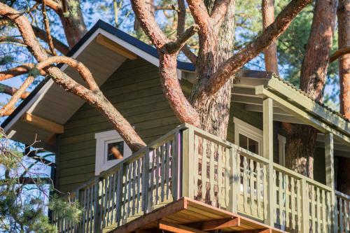 a tree house with a balcony in a tree at Sodyba Namelis medyje Anykščiuose in Anykščiai
