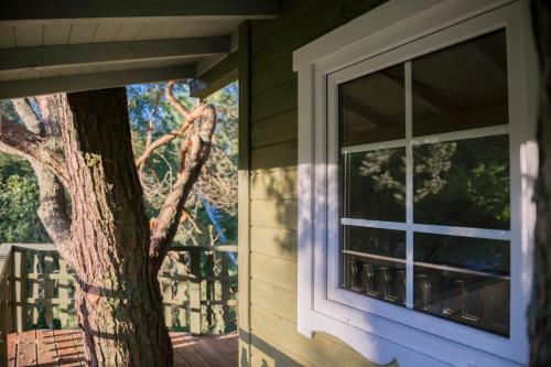 a window on the side of a house with a tree at Sodyba Namelis medyje Anykščiuose in Anykščiai