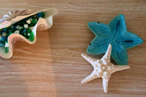 two starfish sitting on a wooden table at La rosa dei venti in Villasimius