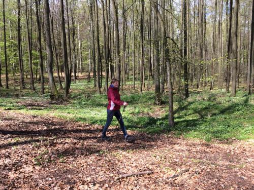 a woman throwing a frisbee in the woods at Stajnia Sarnówek Nad Jeziorem Różany in Rozajny Wielkie