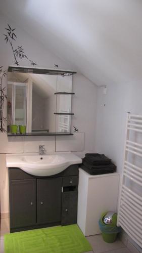 La salle de bains est pourvue d'un lavabo et d'un miroir. dans l'établissement Les Hardilles, à Châtillon-sur-Cher