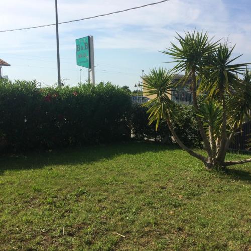 a sign in a yard with two palm trees at MA.DI BB in Rocca San Giovanni