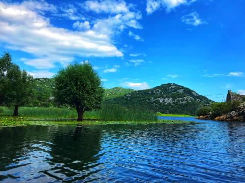a tree in the middle of a river at Studio Apartment Cudo Nevidjeno in Karuč