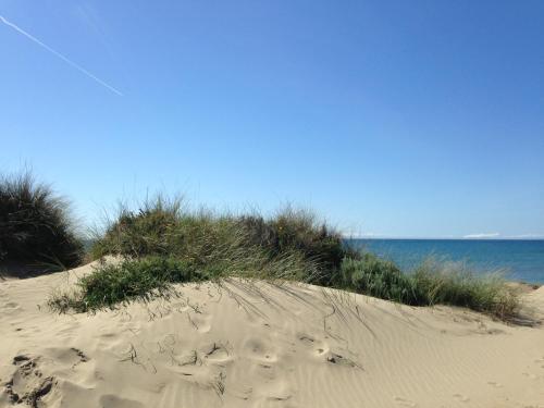 a sandy beach with grass and the ocean in the background at Casa Piscina in Marbella
