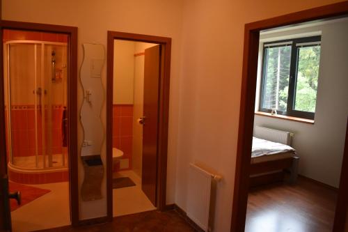 ハルラホフにあるApartment Mumlava fallsのバスルーム(シャワー、トイレ付)、窓が備わります。