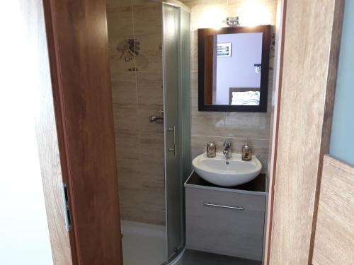 a bathroom with a sink and a shower with a mirror at U ELŻBIETY in Łeba