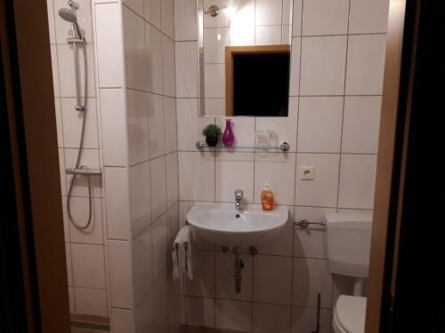 Herberg Die alte Schleuse tesisinde bir banyo