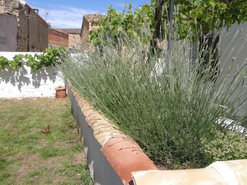 a garden with tall grass next to a retaining wall at Casa Rural Cariño in Armañanzas
