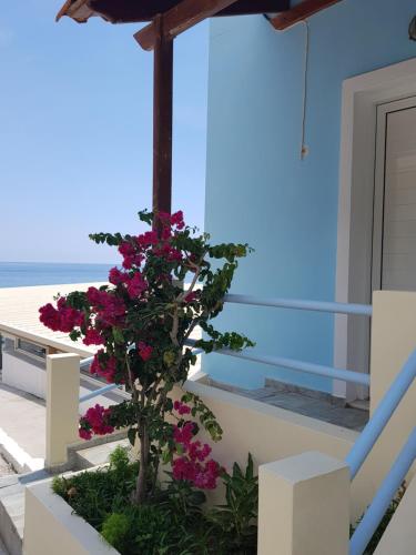 Un balcón o terraza de Agia Fotia