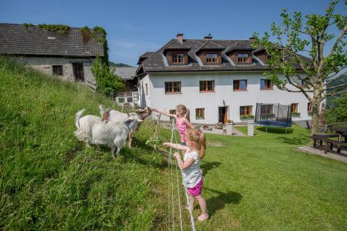two little girls playing with goats in a field at Kräuterhof Miesrigl in Losenstein
