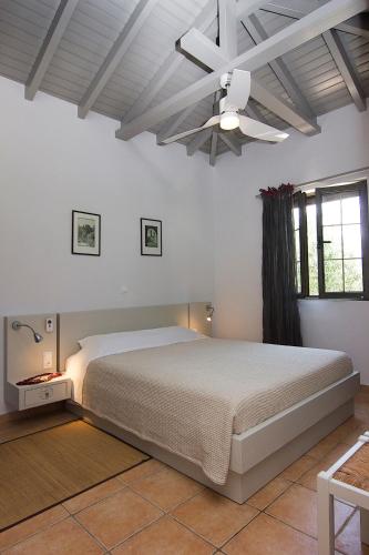 a bedroom with a bed and a ceiling fan at Kripia Holiday Villas in Kardamyli