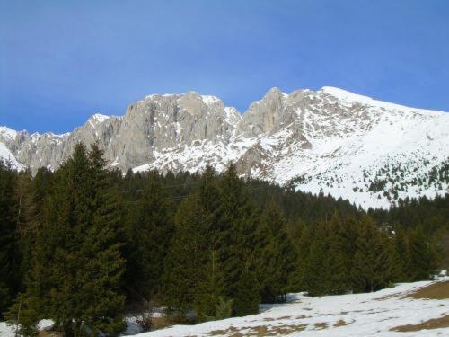 Gallery image of Hotel Residence La Rosa in Castione della Presolana