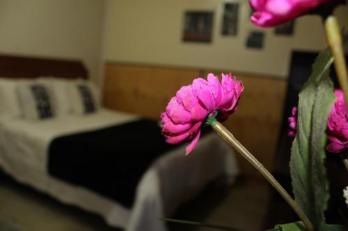 a pink flower in a room with a bed at Residencial del Maule in Linares