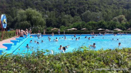 a group of people in a large swimming pool at Apartment Centar in Prokuplje