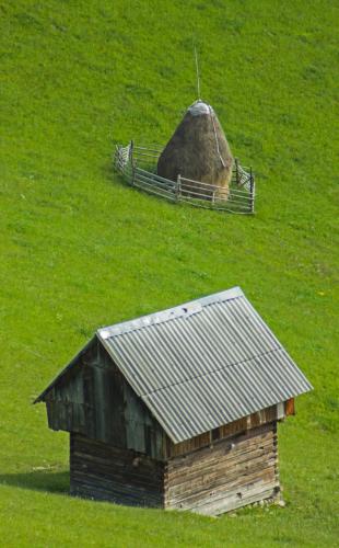 Фотография из галереи I Love Bran House в городе Шимон