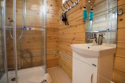 a bathroom with a shower and a sink at Dalahyttur in Hlíð í Hörðudal