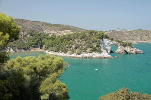 Φυσικό τοπίο κοντά σε αυτό το bed & breakfast