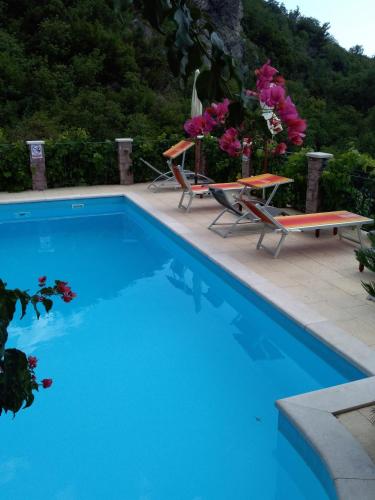 Bazén v ubytování Apartments Villa Čučuk nebo v jeho okolí