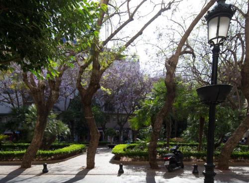 Edificio Ramiro photo 39