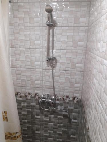 baño con ducha con pájaros en Sevan EM & YU, en Sevan
