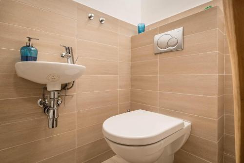 een badkamer met een toilet en een wastafel bij Oddy in Stará Lesná