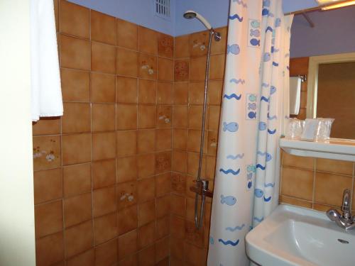 a bathroom with a shower with a toilet and a sink at Hotel des Voyageurs in Millau