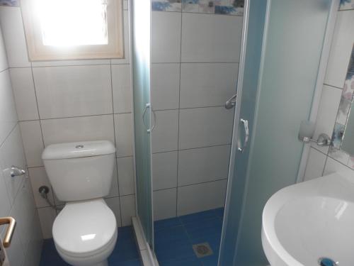a bathroom with a toilet and a sink at Pension Votsi in Votsi