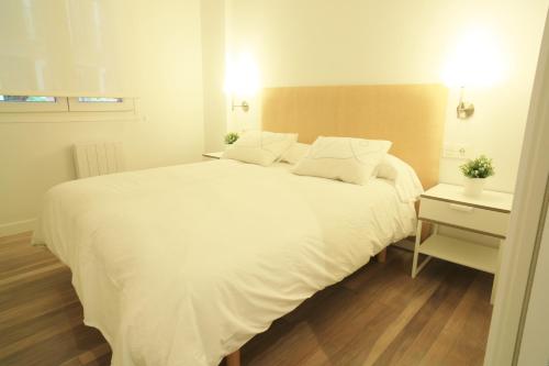 1 dormitorio con 1 cama blanca grande y mesita de noche en Zuhaizti Apartment, en San Sebastián