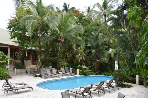 Kolam renang di atau dekat dengan The Falls at Manuel Antonio