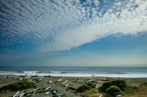 a group of animals on a beach near the ocean at Beachfront Inn in Brookings