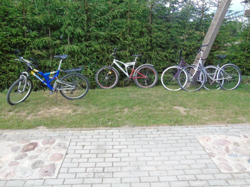 a group of bikes parked in the grass at Poilsio namelis Plateliai in Plateliai