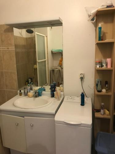 a bathroom with a sink and a mirror at Chambre d'Hôtes Proche de Disneyland et Pas Loin de Paris in Bussy-Saint-Georges