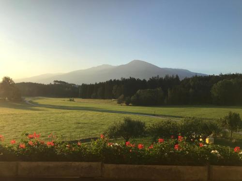 a field with flowers and mountains in the background at Landhotel Gasthof Eichhof Natters in Innsbruck