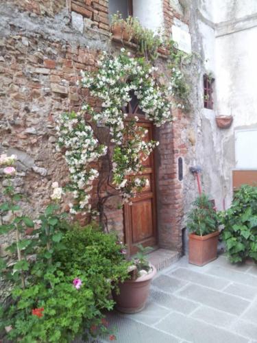 Zahrada ubytování Casa Corbinelli