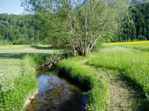 Un paisaje natural cerca de la casa de huéspedes