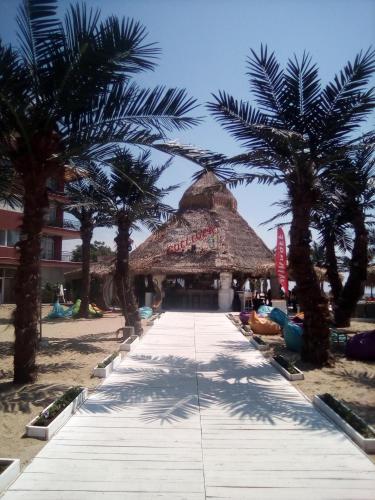un resort con palmeras en la playa en Santa Sofia Studio, en Sunny Beach